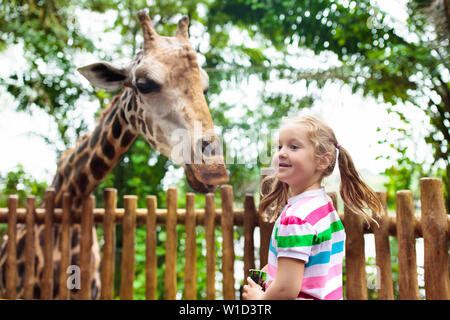 Girafe en famille dans le zoo.Les enfants nourrissent des girafes dans le parc safari tropical pendant les vacances d'été à Singapour.Les enfants regardent les animaux.Petite fille Banque D'Images