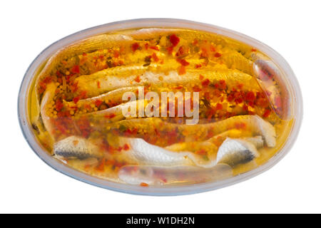 Conserves de sardines marinées aux épices dans un contenant de plastique. Plus isolé sur fond blanc Banque D'Images