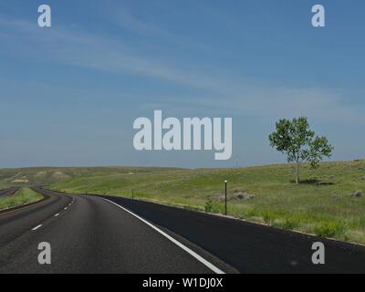 Moyennes plan large de paysage avec une route asphaltée sinueuse et un petit arbre isolé juste après Gillette, Wyoming. Banque D'Images