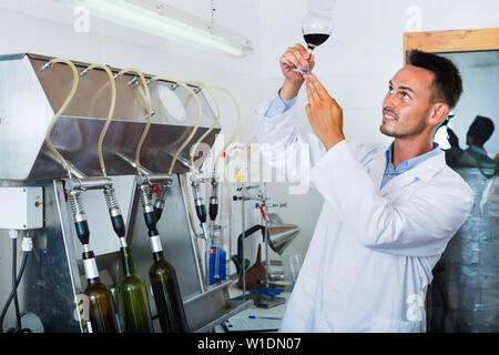 Portrait de jeune homme charmant sourire winery travailleur avec des machines d'embouteillage sur factory Banque D'Images