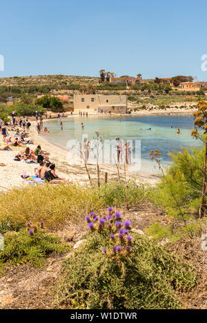 Panorama sur les eaux bleues de la plage de Santa Maria à Santa Marija Bay, Comino, Malte. Banque D'Images