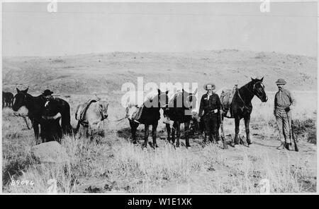 Les mules et porteurs. [Photo prise près de la frontière mexicaine en 1883. Banque D'Images