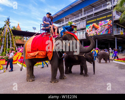 PATTAYA, THAÏLANDE - 2 janvier 2019 : Les éléphants dans l'Nongnooch (ou) Nong Nooch Tropical Garden. Banque D'Images