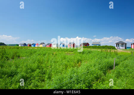 Cabanes de plage et du paysage, Aeroskobing, Aero, Danemark Banque D'Images