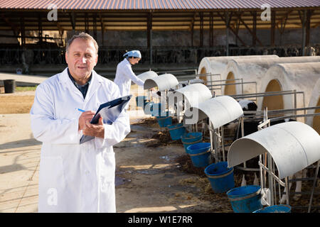 Smiling mature man inspection vétérinaire vaches dans la ferme laitière canadienne Banque D'Images