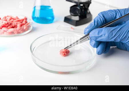 La viande hachée dans la boîte de Pétri dans mains scientifique. Close up. Expérience chimique. Les études de sciences de laboratoire. Banque D'Images