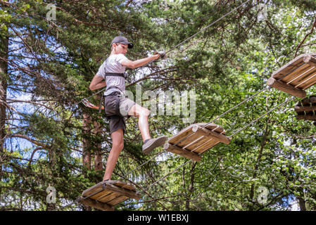 Adolescent s'amuser sur des parcours, l'aventure, parc, grimper aux arbres dans une forêt en été Banque D'Images