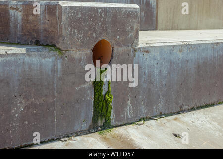 Les algues vertes d'un orifice d'évacuation ou d'un tuyau pour le drainage dans le nouveau revêtement de mur en béton de la mer, de défense contre les inondations côtières, dans le Lancashire Banque D'Images