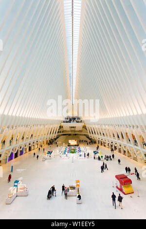 Oculus, World Trade Center Transportation Hub, Financial District, Manhattan, New York City, New York, États-Unis d'Amérique, Amérique du Nord Banque D'Images