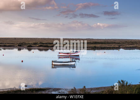 Vues de la Norfolk Coast Path Sentier National près de Burnham Overy Staithe, Norfolk, East Anglia, Angleterre, Royaume-Uni, Europe Banque D'Images