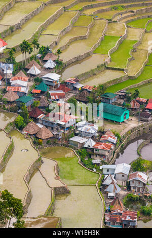 Batad, UNESCO World Heritage Site, Luzon, Philippines, Asie du Sud, Asie Banque D'Images