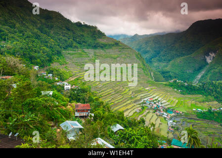 Batad, UNESCO World Heritage Site, Luzon, Philippines, Asie du Sud, Asie Banque D'Images