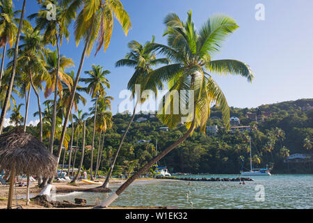 Des cocotiers au bord de l'eau, LaBas Beach, la baie de Marigot, Castries, Sainte-Lucie, îles du Vent, Petites Antilles, Antilles, Caraïbes Banque D'Images