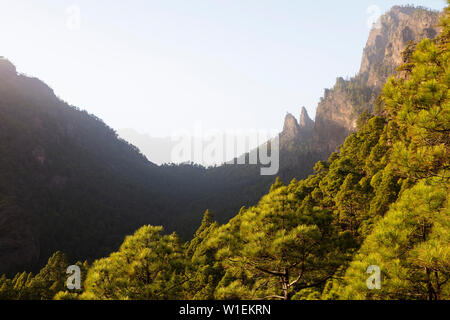 Caldera de Taburiente National Park, site de la biosphère de l'UNESCO, La Palma, Canary Islands, Spain, Europe, Atlantique Banque D'Images