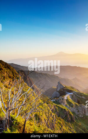 Parc National de Garajonay et Tenerife au loin, le Parc National de Garajonay, classé au Patrimoine Mondial de l'UNESCO, La Gomera, Canary Islands, Spain, Atlantique Banque D'Images