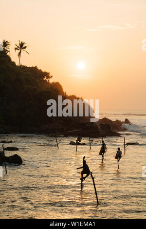 Pêcheurs sur pilotis à l'aube, Weligama, Côte Sud, Sri Lanka, Asie Banque D'Images