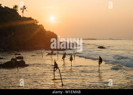 Pêcheurs sur pilotis à l'aube, Weligama, Côte Sud, Sri Lanka, Asie Banque D'Images