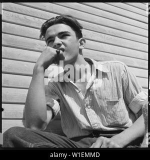 Hayward, Californie. Les jeunes sur le soulagement. High school student appelant pour les surplus de produits de base pour sa famille à l'aide d'urgence. Il a un travail de l'Administration nationale de la jeunesse le nettoyage de la laboratoire de chimie à 10,00 $ par mois. Il voulait un samedi après-midi et dimanche travail à lui fournir de l'argent de poche Banque D'Images