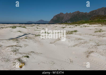 Vesterålen sans petrole, archipel Hovden Beach, Norvège Banque D'Images