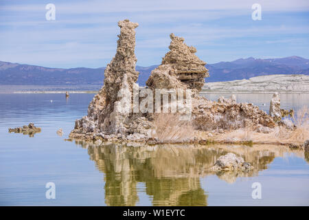 Tufas à Mono Lake, calcium-Carbonate Spires and Knobs, Lee Vining, Californie, États-Unis Banque D'Images