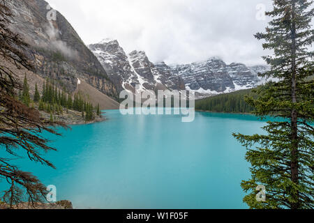 Le lac Moraine, parc national Banff, Canada Banque D'Images