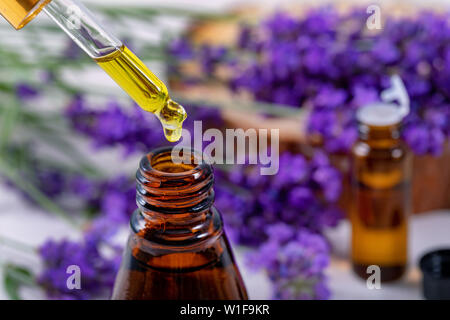 À partir de la goutte d'huile essentielle de lavande sur le flacon pipette Banque D'Images
