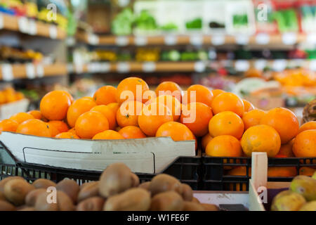 Photo de goût frais Fruits de saison sur le marché des aliments en vente libre, sans personnage Banque D'Images