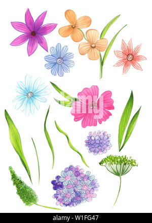 Illustration de l'aquarelle dessin du jeu de couleurs de fleurs sauvages avec des feuilles isolées sur un fond blanc Banque D'Images