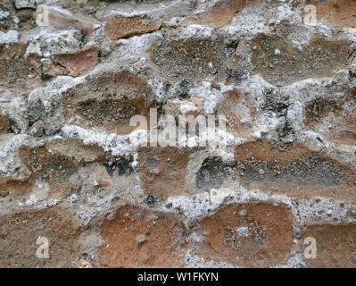 Problème de salpêtre sur un mur en briques anciennes affectées par l'efflorescence Banque D'Images