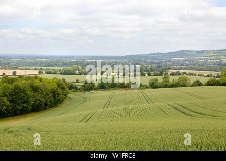 Aylesbury Vale paysage - vue sur Aylesbury Vale de Bledlow partout à Princes Risborough, Buckinghamshire England UK campagne Banque D'Images