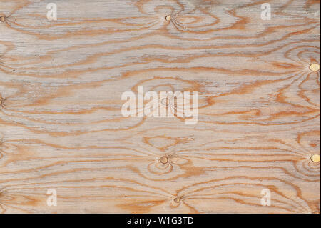 La texture du bois naturel. Arrière-plan de contreplaqué pin Banque D'Images