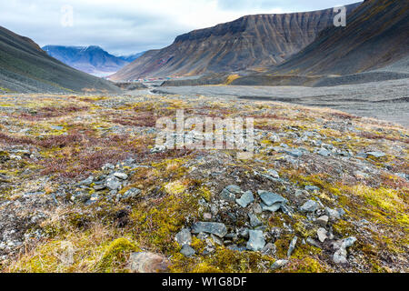 Randonnées derrière Longyearbyen vers glacier dans la toundra arctique de Svalbard, Spitzberg ou le nord de la Norvège Banque D'Images