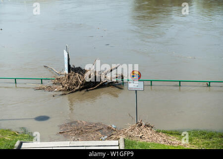 Suite des inondations sur la rivière Vistule/Visla après les gros orages dans le sud de la Pologne à la fin de mai 2019, Cracovie, Pologne, Europe. Banque D'Images