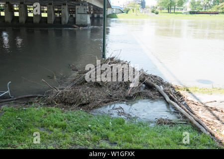 Suite des inondations sur la rivière Vistule/Visla après les gros orages dans le sud de la Pologne à la fin de mai 2019, Cracovie, Pologne, Europe. Banque D'Images