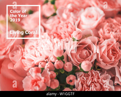 Magnifique bouquet de roses, Dianthus, hypericum, girofle en couleur de l'année 2019 concept corail vivant. Couleur tendance de coraux vivants dans des fleurs, bouquet de mariage. Shallow DOF. Banque D'Images