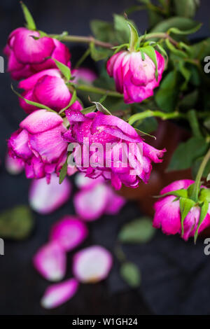 Fleurs roses pourpre pâle sur fond de bois, Close up, selective focus Banque D'Images