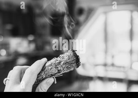 Woman hand holding herb paquet de sauge séchée smudge stick de fumer. On pense à nettoyer l'énergie négative et purifier les espaces de vie à la maison dans les chambres Banque D'Images