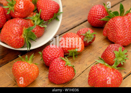 Close up of red les fraises dans un bol, le bol est sur le côté sur une table en bois rustique et les fraises ont débordé sur la table Banque D'Images