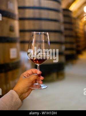 Dégustation de marsala sec ou doux enrichis en vin cave à vin vintage avec de vieux fûts de chêne à Marsala, Sicile, Italie, un verre de vin avec du vin Banque D'Images