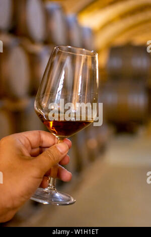 Dégustation de marsala sec ou doux enrichis en vin cave à vin vintage avec de vieux fûts de chêne à Marsala, Sicile, Italie, un verre de vin avec du vin Banque D'Images