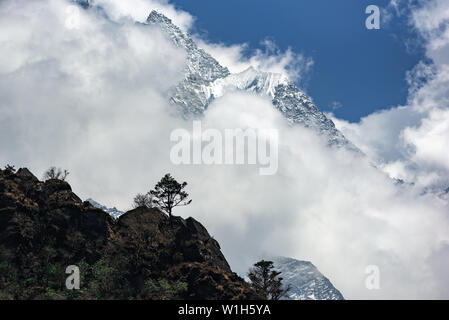 Arbre isolé sur le bord de la montagne avec le Mont Thamserku demi couvert par les nuages, au Népal Himalaya Banque D'Images