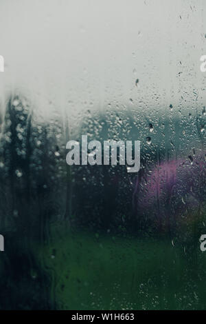 Fenêtre avec de grandes gouttes de pluie sur un ressort, le vert, le contexte urbain. Jour de pluie, sombre dans le Midwest. Close-up, Selective focus. Banque D'Images