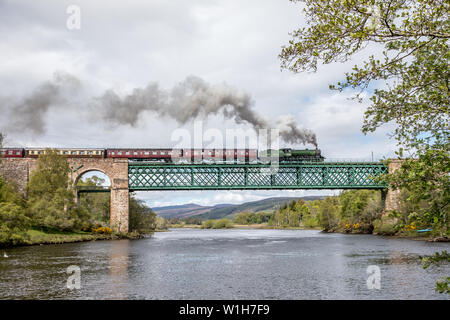 BR 'B1' 4-6-0 N° 61306 'Mayflower' traverse le viaduc de tibia, Invershin, Highlands, Scotland, UK Banque D'Images