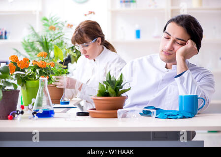 Les deux jeunes botaniste dans le laboratoire Banque D'Images