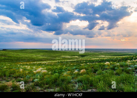 Coucher de soleil pittoresque avec des nuages dans le ciel dans la steppe. Banque D'Images