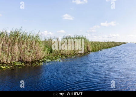 Miami Florida,I 75,Interstate 75,Alley alligator,les Everglades,canal,herbe,marais d'herbe de scie,zone humide,écosystème,environnement,drainage,les visiteurs voyagent t Banque D'Images