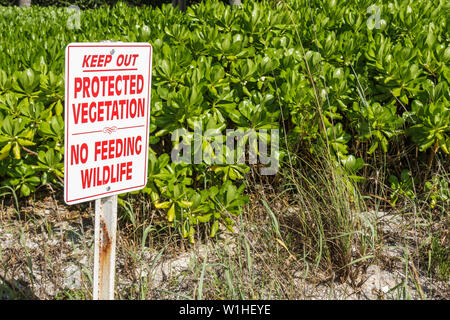 Florida Lee County,Bonita Springs,Gulf of Mexico Coast,plage publique,dune,végétation protégée indigène,panneau,préservation,écosystème,pas d'alimentation faune,k Banque D'Images