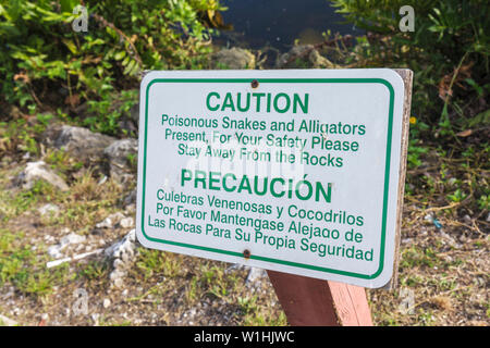 Miami Florida,Wyndham Miami Airport,hôtel,canal,rivage,panneau,avertissement,attention,bilingue,espagnol,anglais,attention,serpents venimeux,alligators,sécurité,FL09103 Banque D'Images