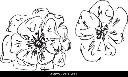 Illustrations faites à la main Ensemble de deux fleurs rose abstrait isolé sur blanc. Croquis dessinés à la main, d'un fleurs. Illustration de Vecteur
