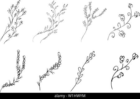 Fleurs et branches à la main collection isolé sur fond blanc. Éléments graphiques floral big vector set. Doodle style. Illustration de Vecteur